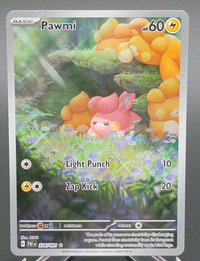 Pawmi #226 — front