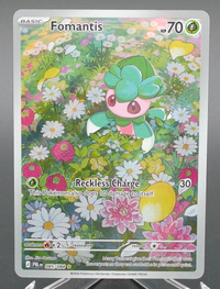 Fomantis #085 — front