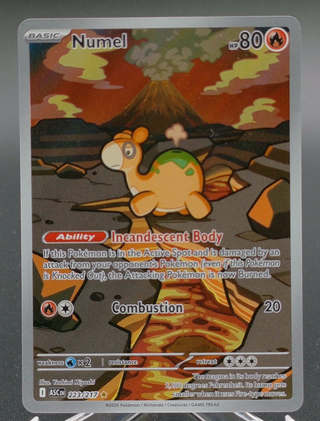 Numel #223 — Copy #3 (NM) front