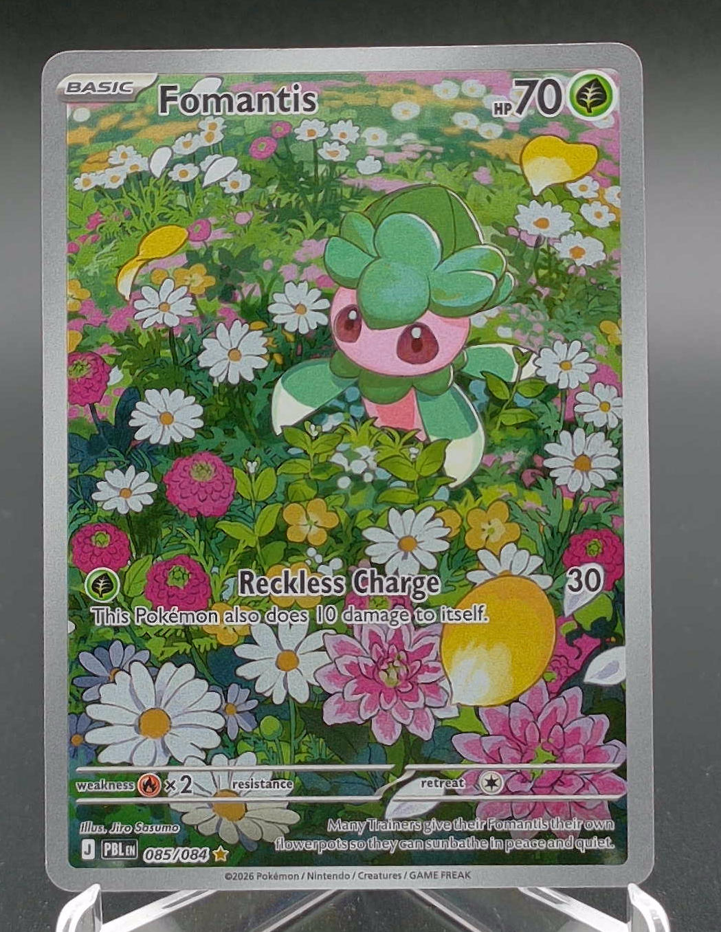 Fomantis #085 — front