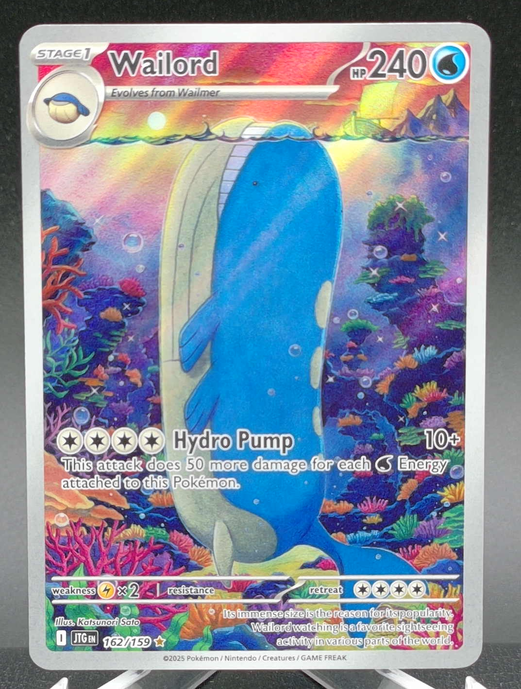 Wailord #162 — front