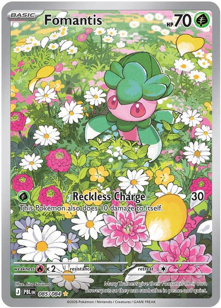 Fomantis #085