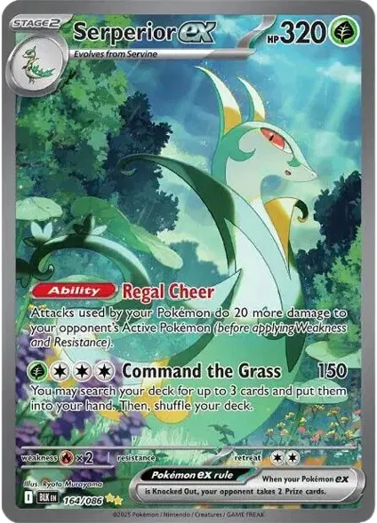 Zoomed image
