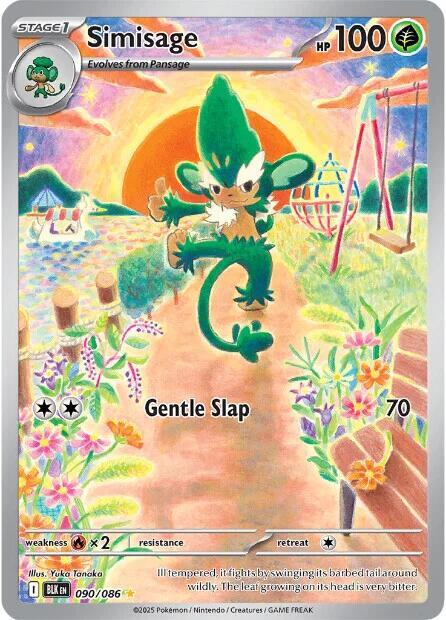 Zoomed image