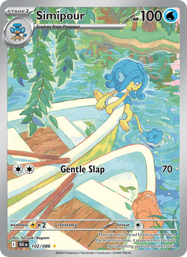 Simipour #102